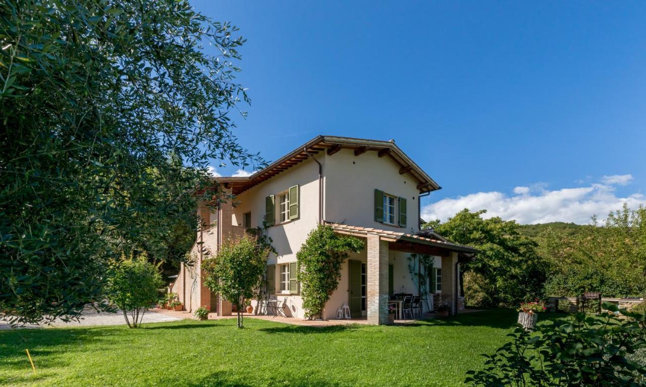 Altra Meta B&B Губио Екстериор снимка