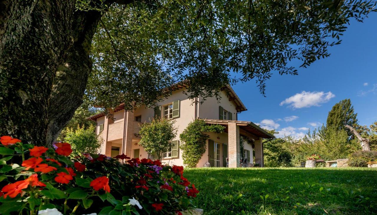 Altra Meta B&B Губио Екстериор снимка