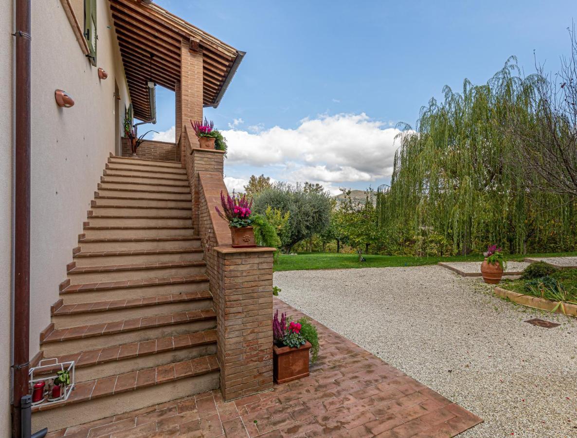 Altra Meta B&B Губио Екстериор снимка